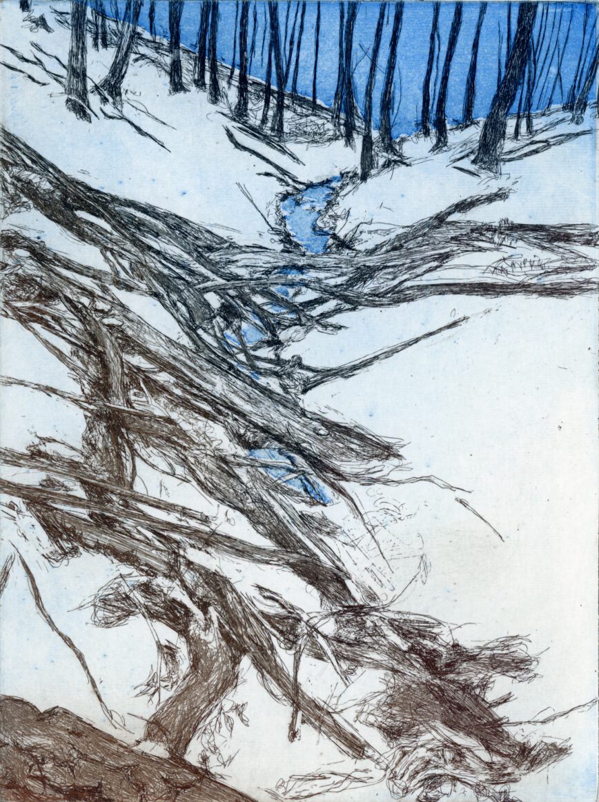 Nahe der Quelle (FV) 20x15 cm