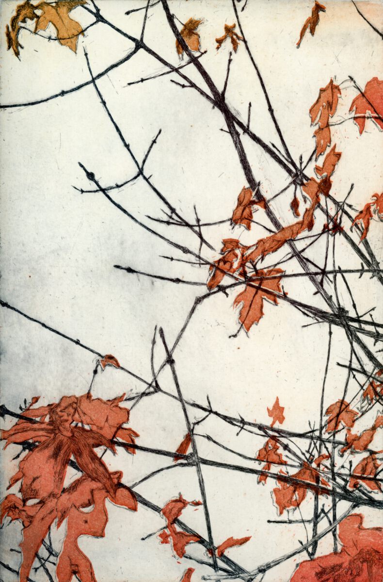 Ahornbaum II 30x20 cm