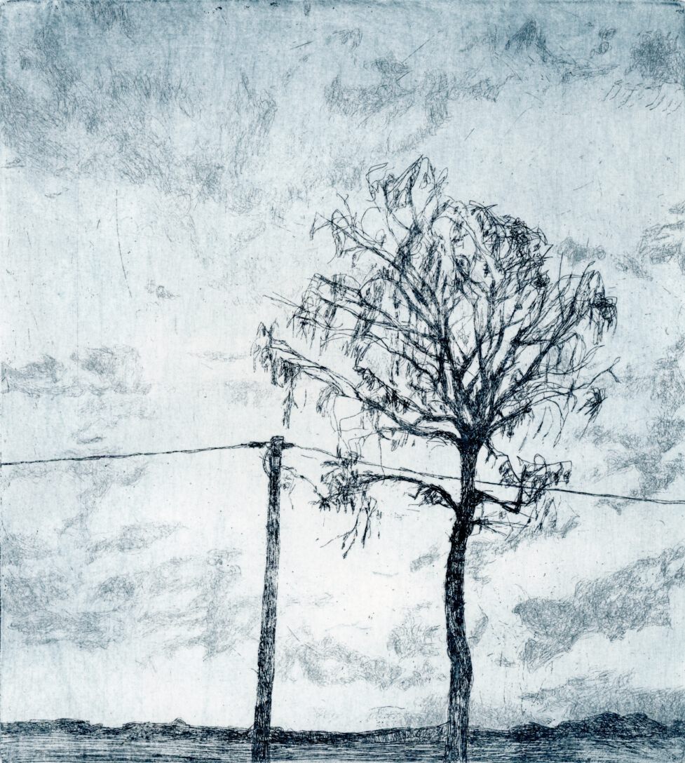 BaumundStrommast19x17cm Netz30x20031