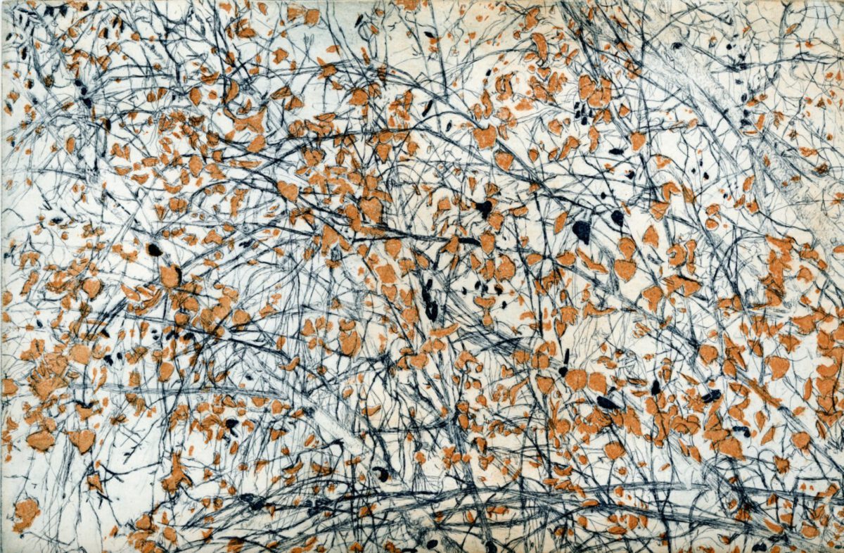 Birkenherbsthimmel Netz20x30
